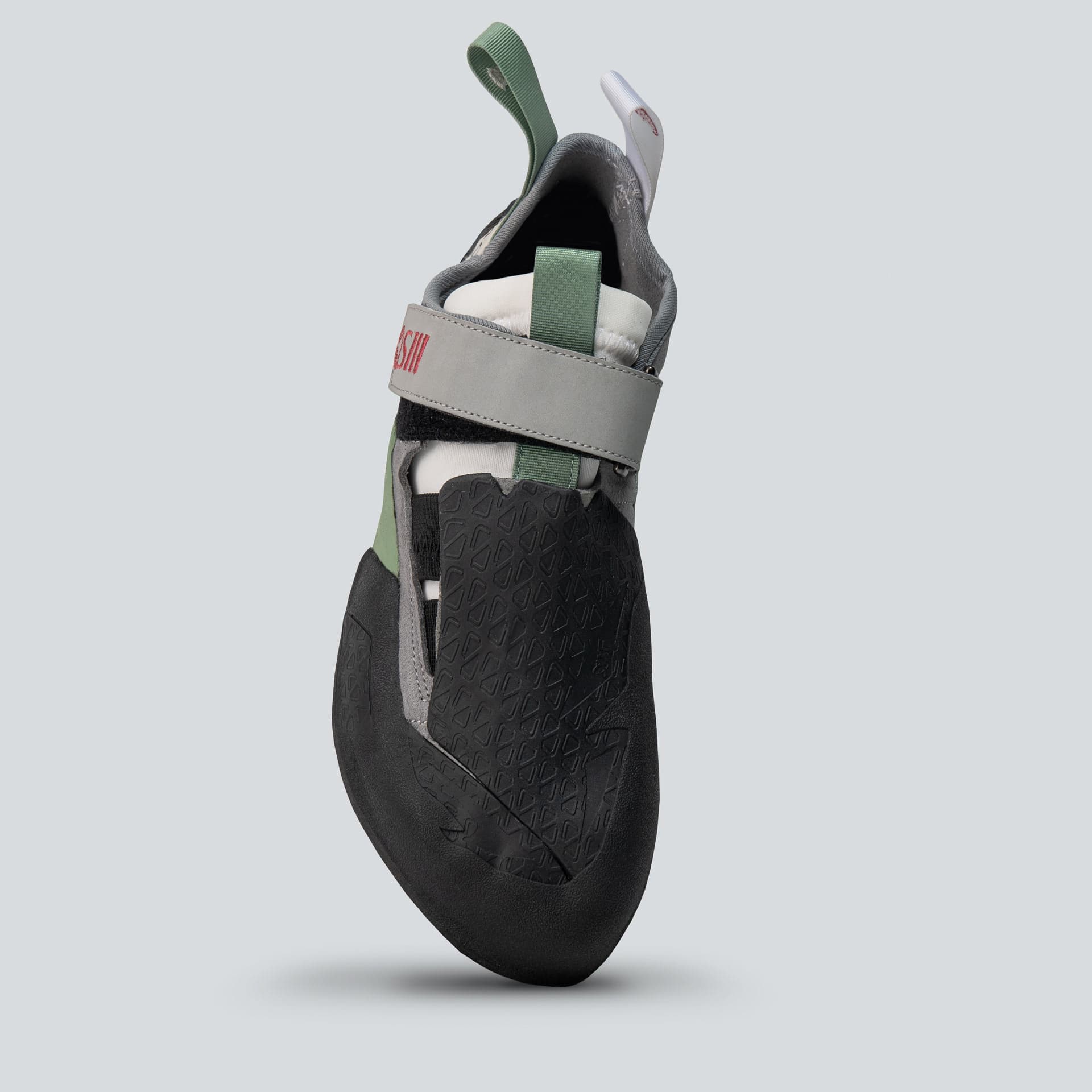 shark3_LV_top-view.jpg